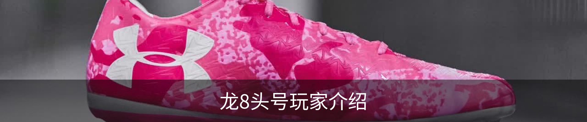 龙8头号玩家介绍